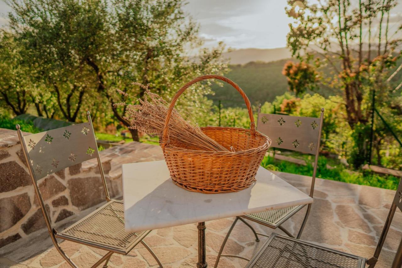 L'Otello B&B Pistoia Exterior photo